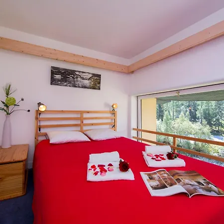 Apartment Grand Roc - Campanules 112 - Happy *
